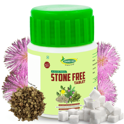 Home DARDGO Ayurvedic Stone Free Tablets- Natural Herbal Remedies for Kidney and Urinary Health Support.
