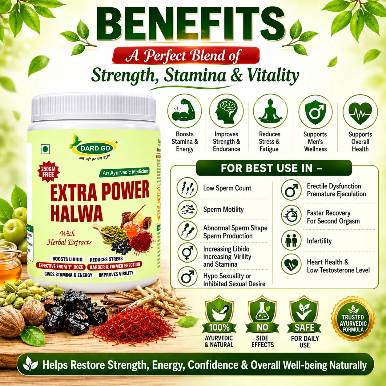 dardgo ayurvedic wellness halwa natural energy & vitality booster dardgo ayurvedic wellness halwa natural energy & vitality booster